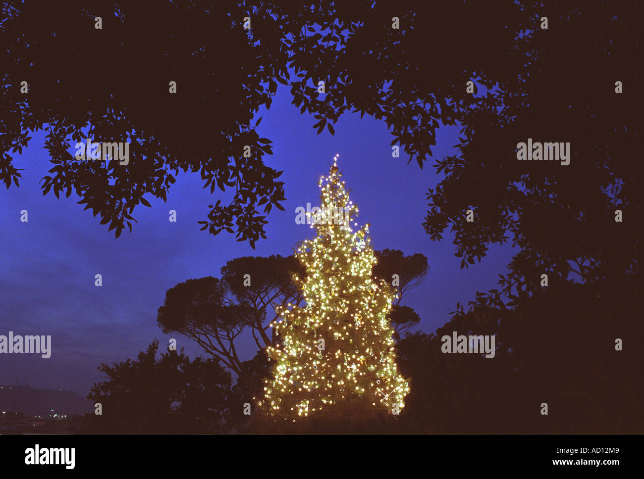 christmas tree with colourful lights at night Stock Photo - Alamy