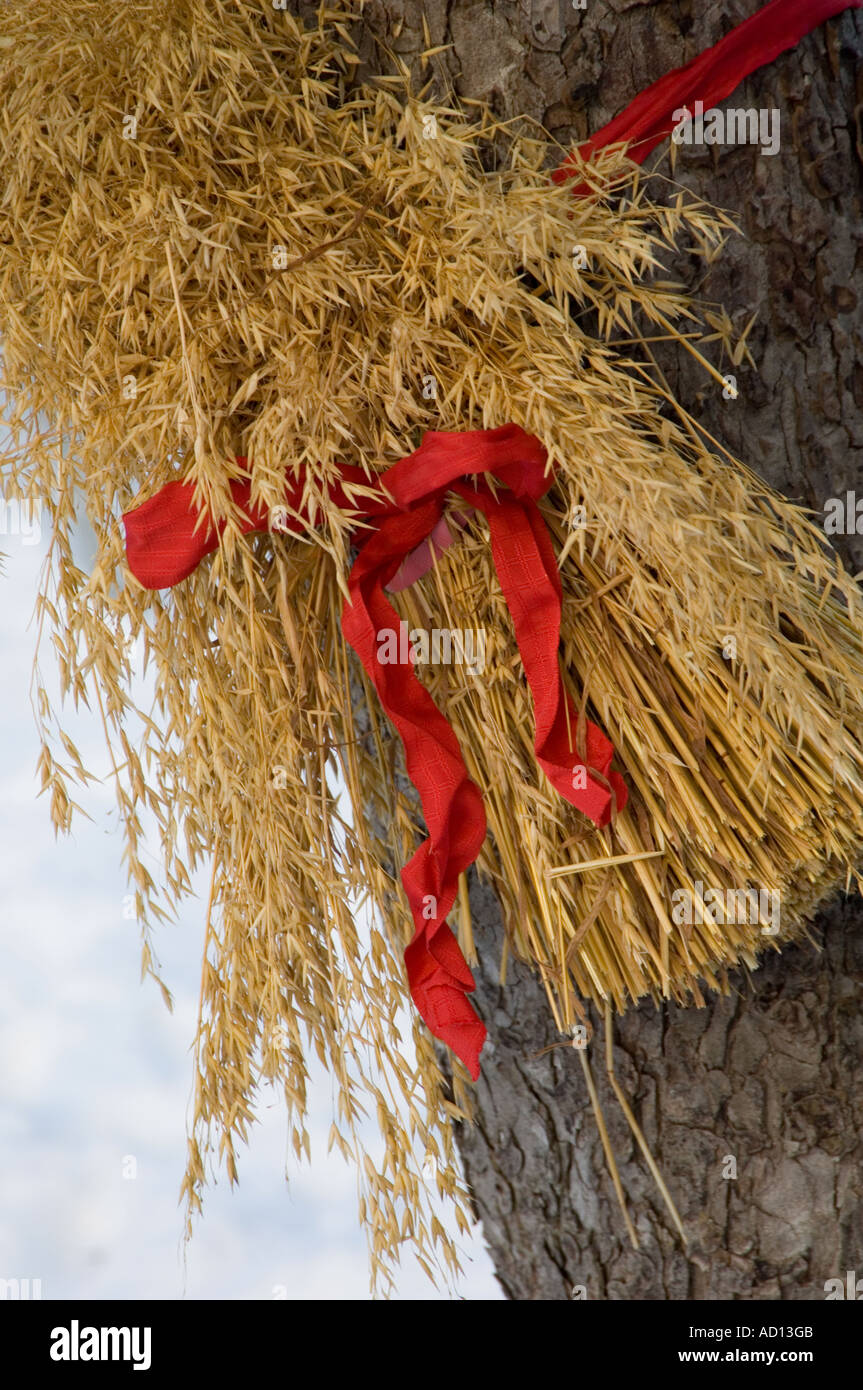 Traditional Christmas decorations made of straw bundles, tied to a tree