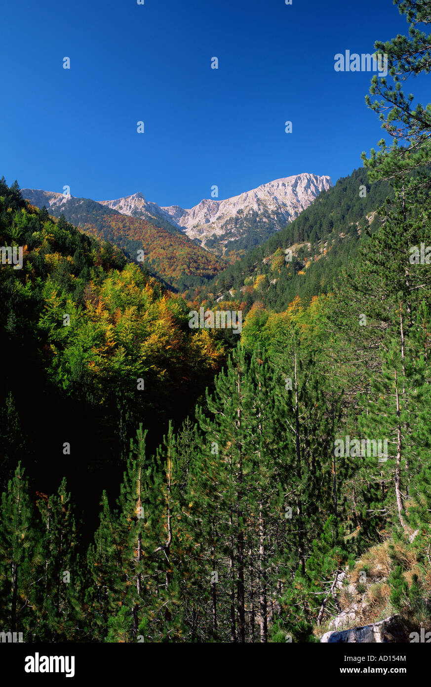 Mt. Olympus, Greece Stock Photo