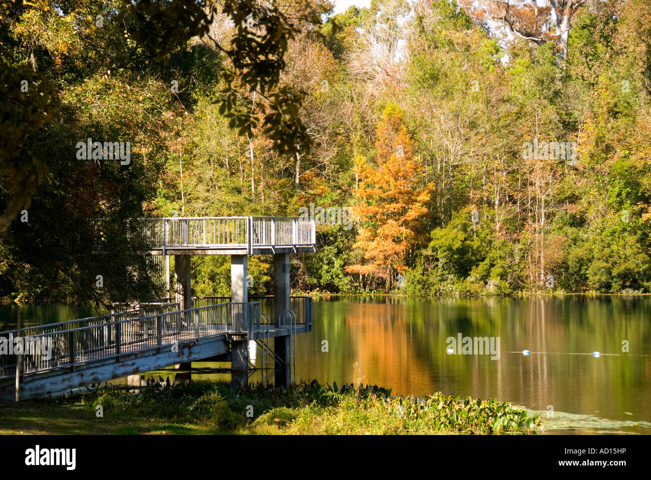 wakulla springs women Werner-boyce salt springs state park sep 8 2018 - 8:45am edt some of the america’s best and most popular beaches environmental treasures are found in florida state parks, including. wakulla springs women Werner-boyce salt springs state park sep 8 2018 - 8:45am edt some of the america’s best and most popular beaches environmental treasures are found in florida state parks, including.