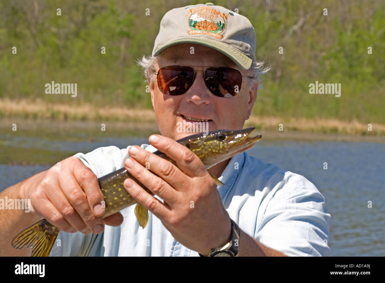 Proud angler holding a catch and release snake pickerel fish (Esox lucius). Gull Lake Nisswa Minnesota USA Stock Photo
