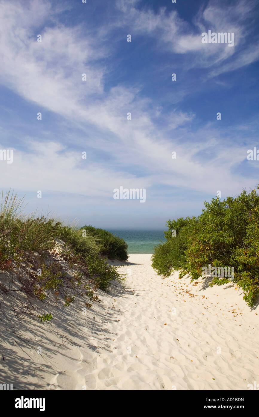 Lambert's Cove Beach, North Tisbury, Martha's Vineyard, Massachusetts