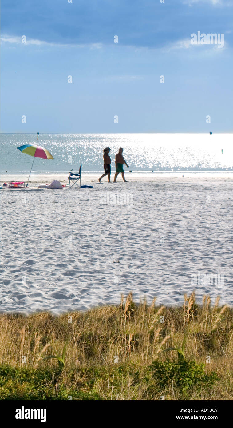 Beach, Honeymoon State Island Park, Dunedin, Florida, USA Stock Photo