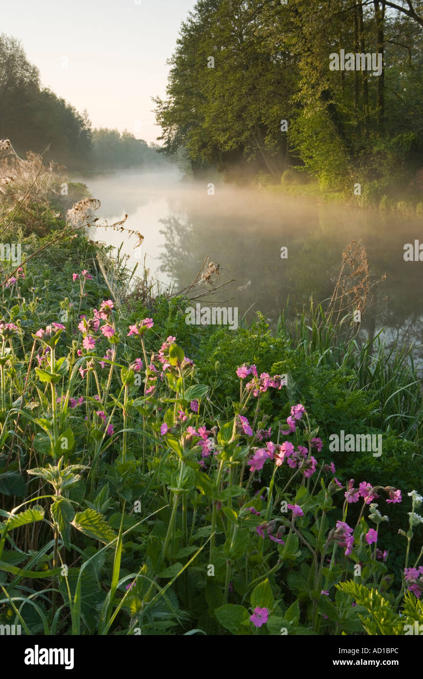 Dawn over River Wey at Bowers Lock, Guildford, Surrey, England, UK Stock Photo