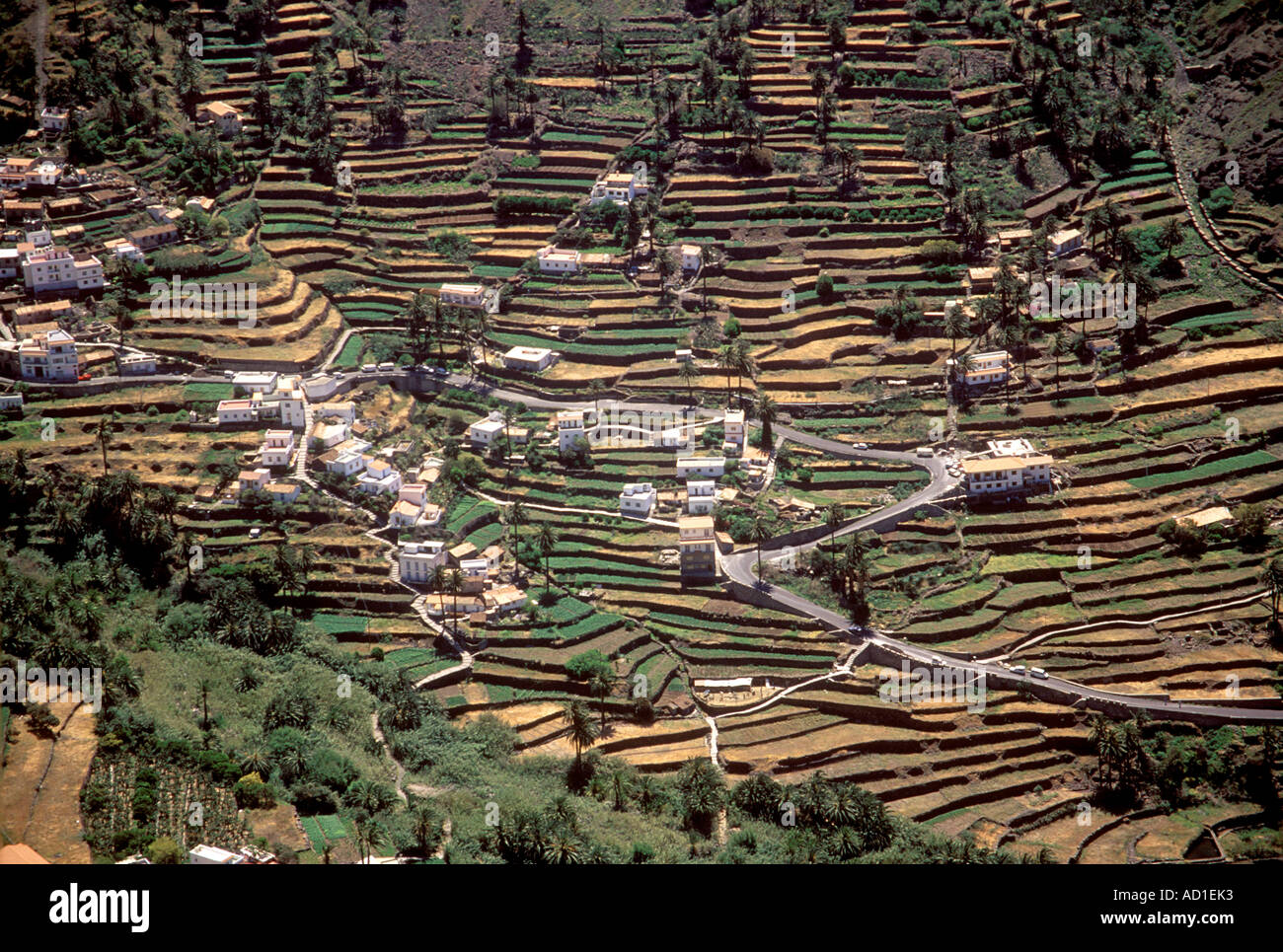La Gomera, Valle Gran Rey, Valley of farm terraces Stock Photo Alamy