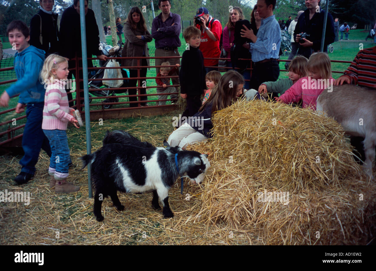 Animal farm kew farm animals hires stock photography and images Alamy