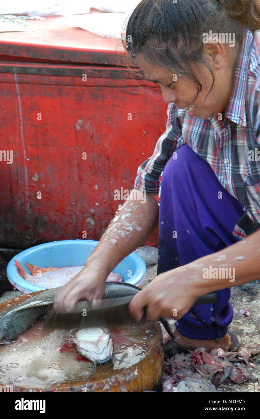selling fish and sea food at the food Market at Lopburi Thailand Stock Photo Alamy