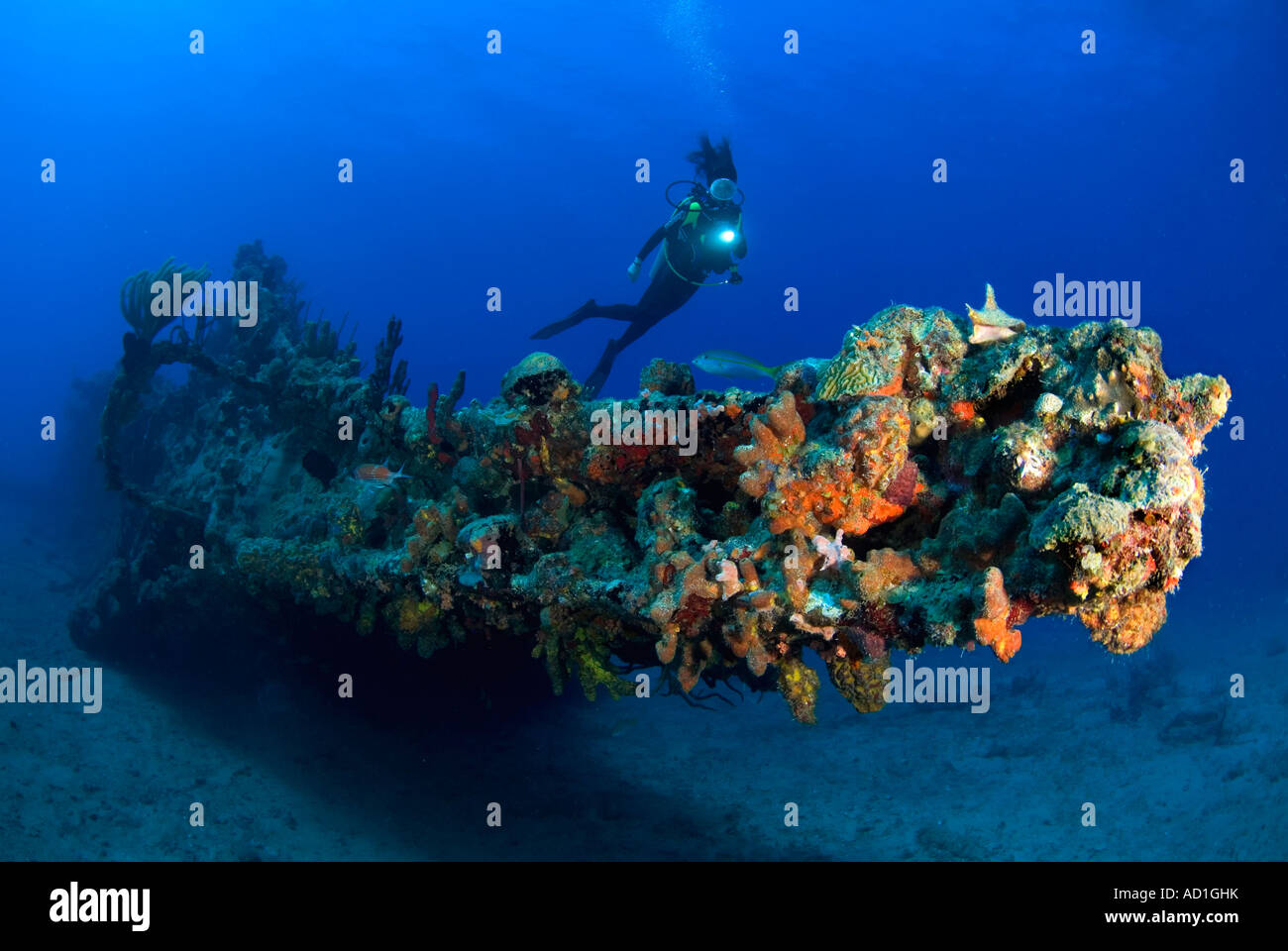Rhone wreck Tortola British Virgin Islands BVI, underwater, scuba