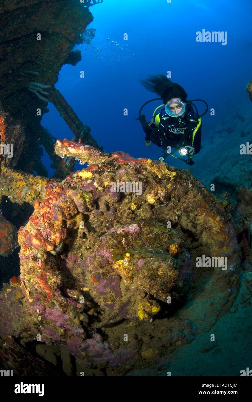 Rhone wreck Tortola British Virgin Islands BVI, underwater, scuba