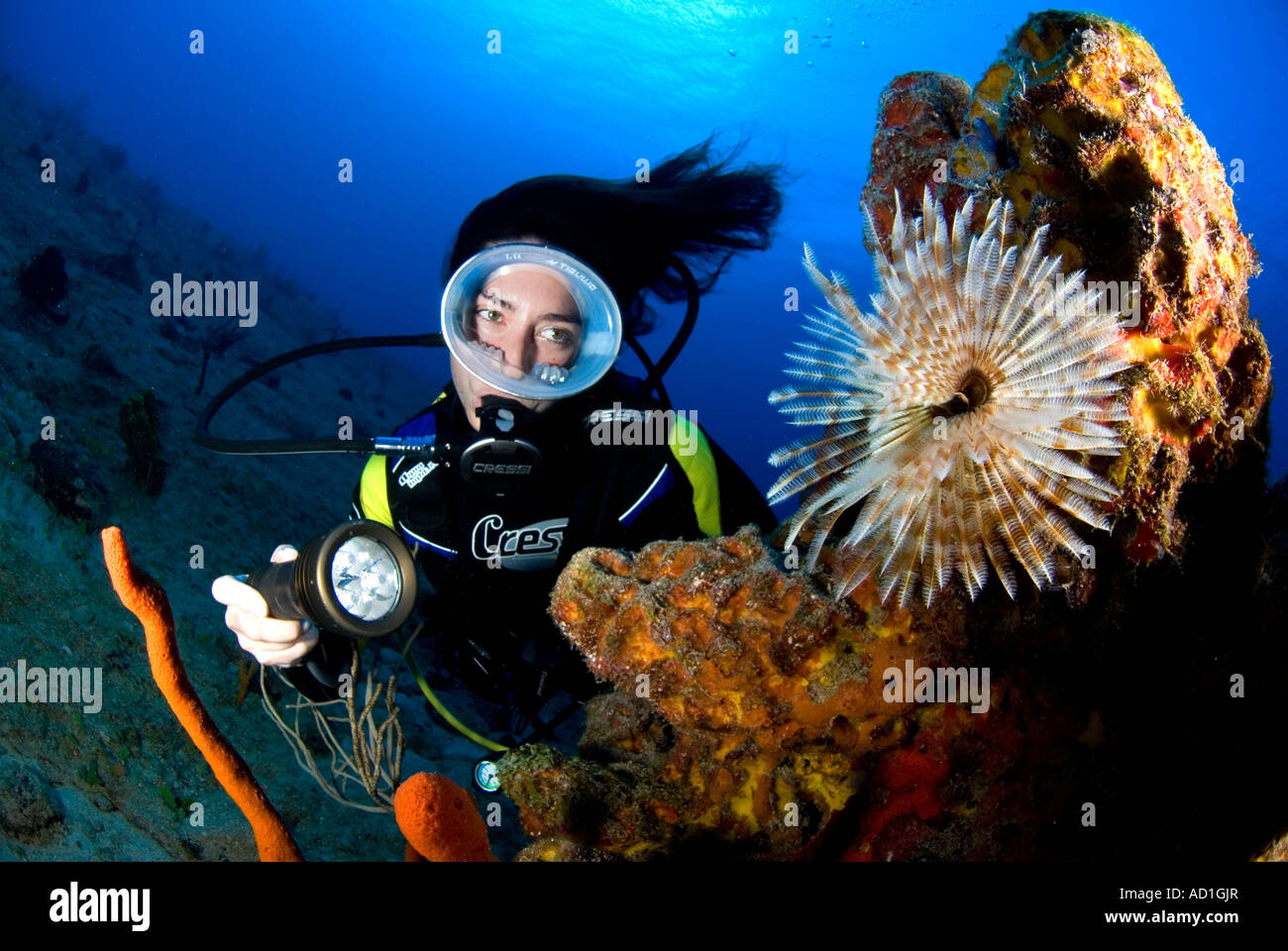 Rhone wreck Tortola British Virgin Islands BVI, underwater, scuba