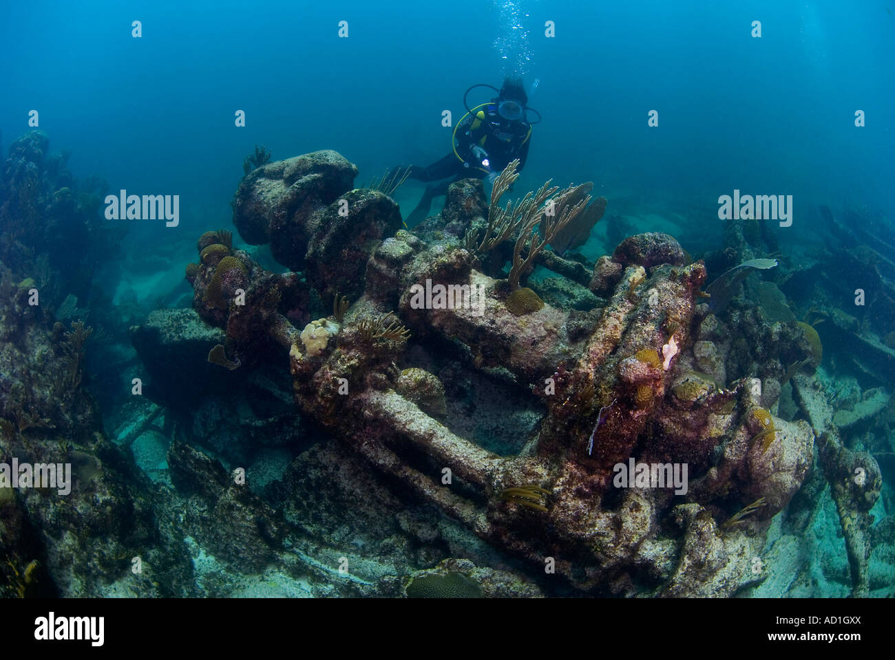 wreck in Anegada British Virgin Islands BVI, shipwreck, underwater, scuba, diving, ocean, sea, blue water, female diver, Stock Photo