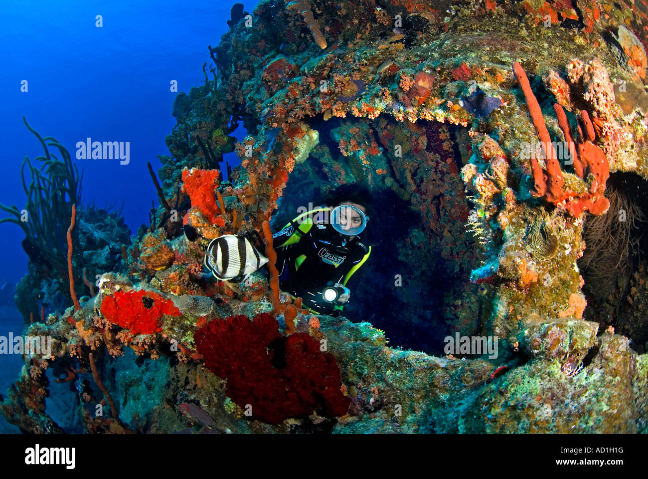 Rhone wreck Tortola British Virgin Islands BVI, underwater, scuba