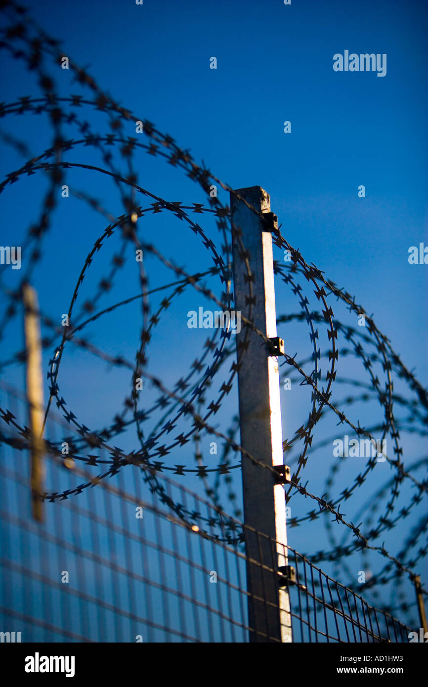 Security fence with razor wire Stock Photo - Alamy