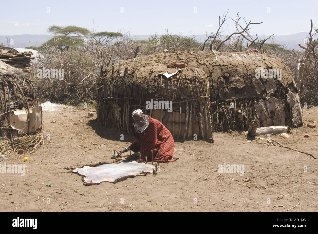 Africa Tanzania people native tribe Masai woman drying animal skin mud hut house Stock Photo - Alamy Africa Tanzania people native tribe Masai woman drying animal skin mud hut house Stock Photo - Alamy