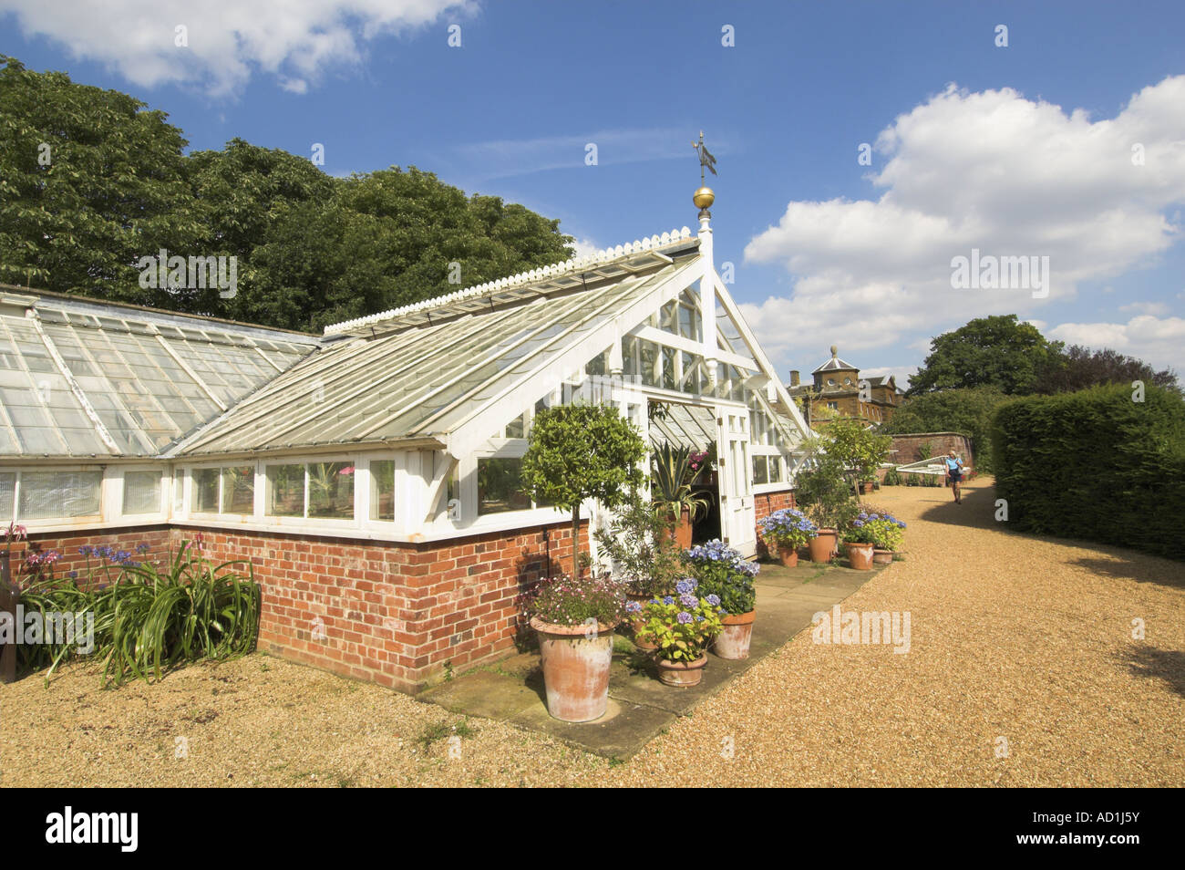 Large Victorian style greenhouse with large planters and decorative plants Houghton Hall England August Stock Photo