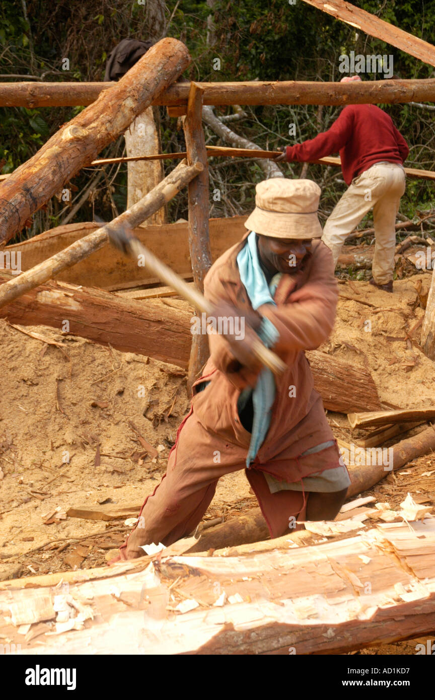 African logging operation hi-res stock photography and images - Alamy