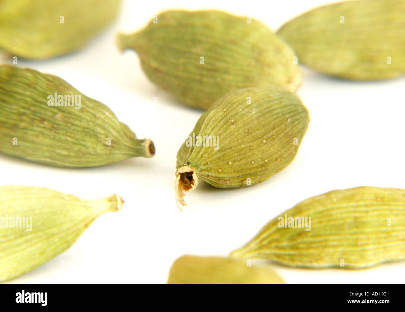 Green Cardamom Pods Stock Photo Alamy