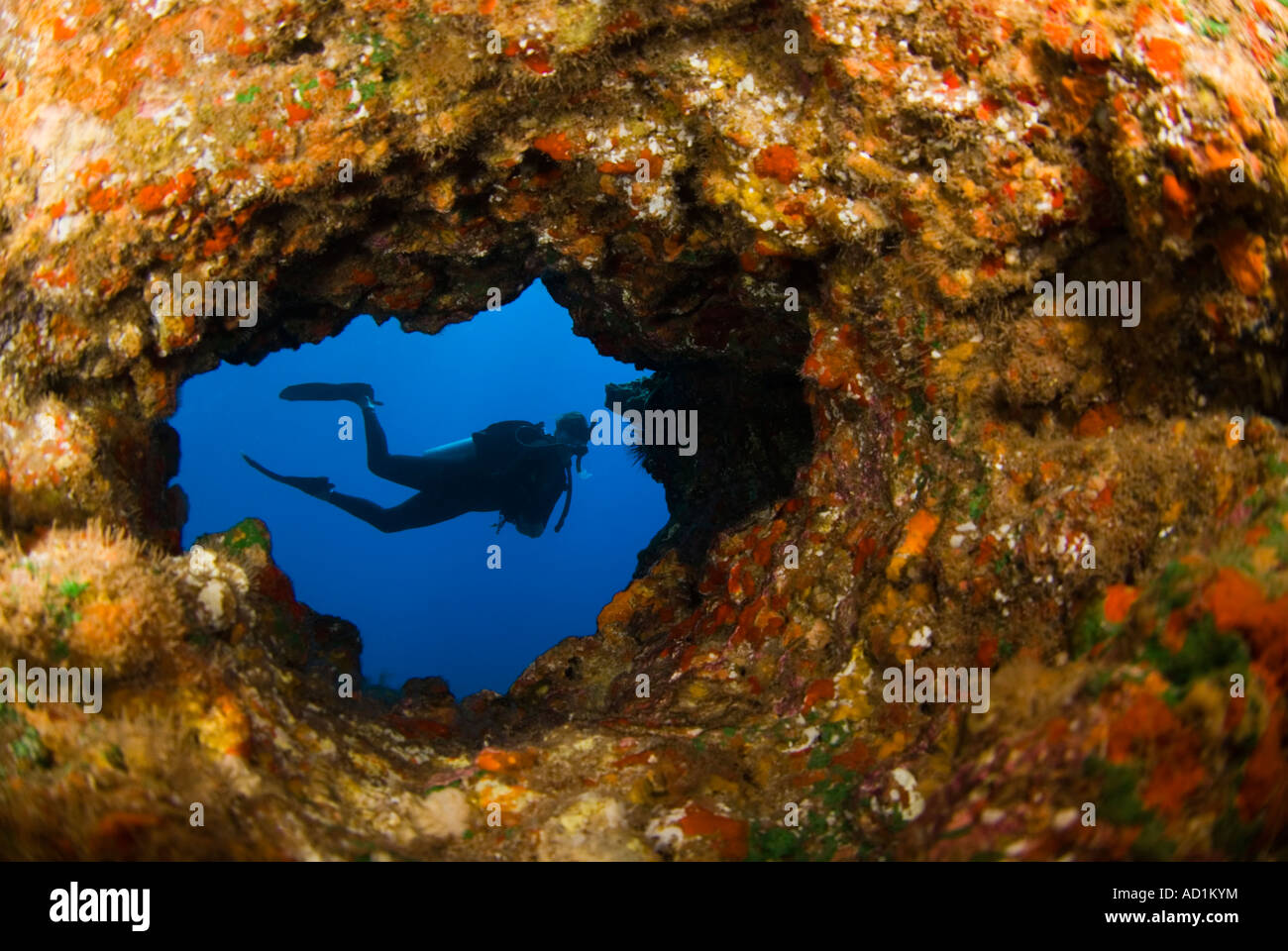 Diver in a cave Lanai, Hawaii, underwater, scuba, diving, ocean, sea, deep, blue water, tropical, cavern, hole Stock Photo