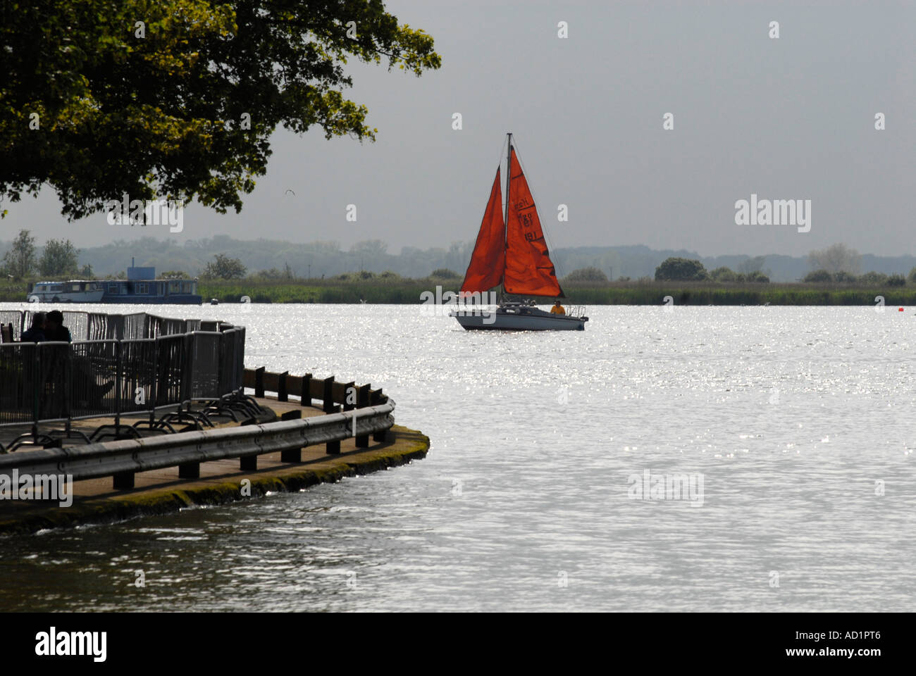 A sailboat in evening sunlight on Oulton Broad Suffolk UK Stock Photo