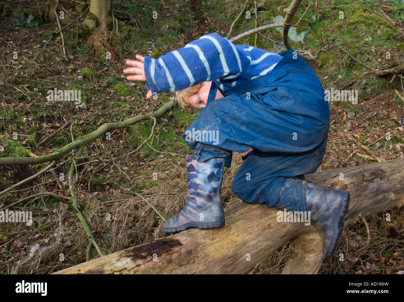 Young boy climbing on a fallen tree Scotland Stock Photo - Alamy