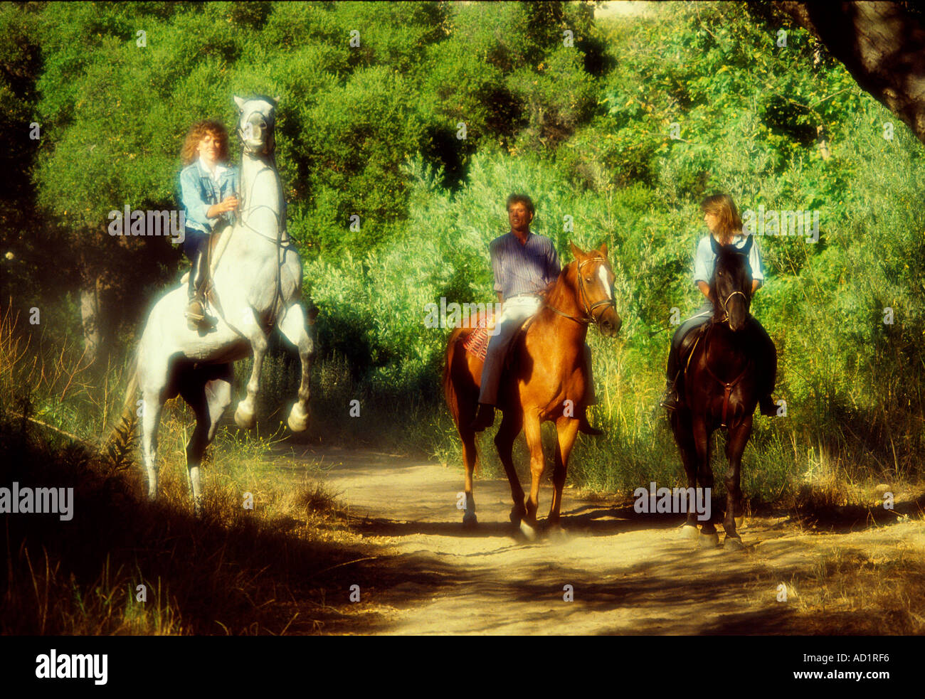 Man Women, woman, 30's three 3 people riders on horseback riding dirt trail. Horse rearing up trees Decker Canyon California Stock Photo