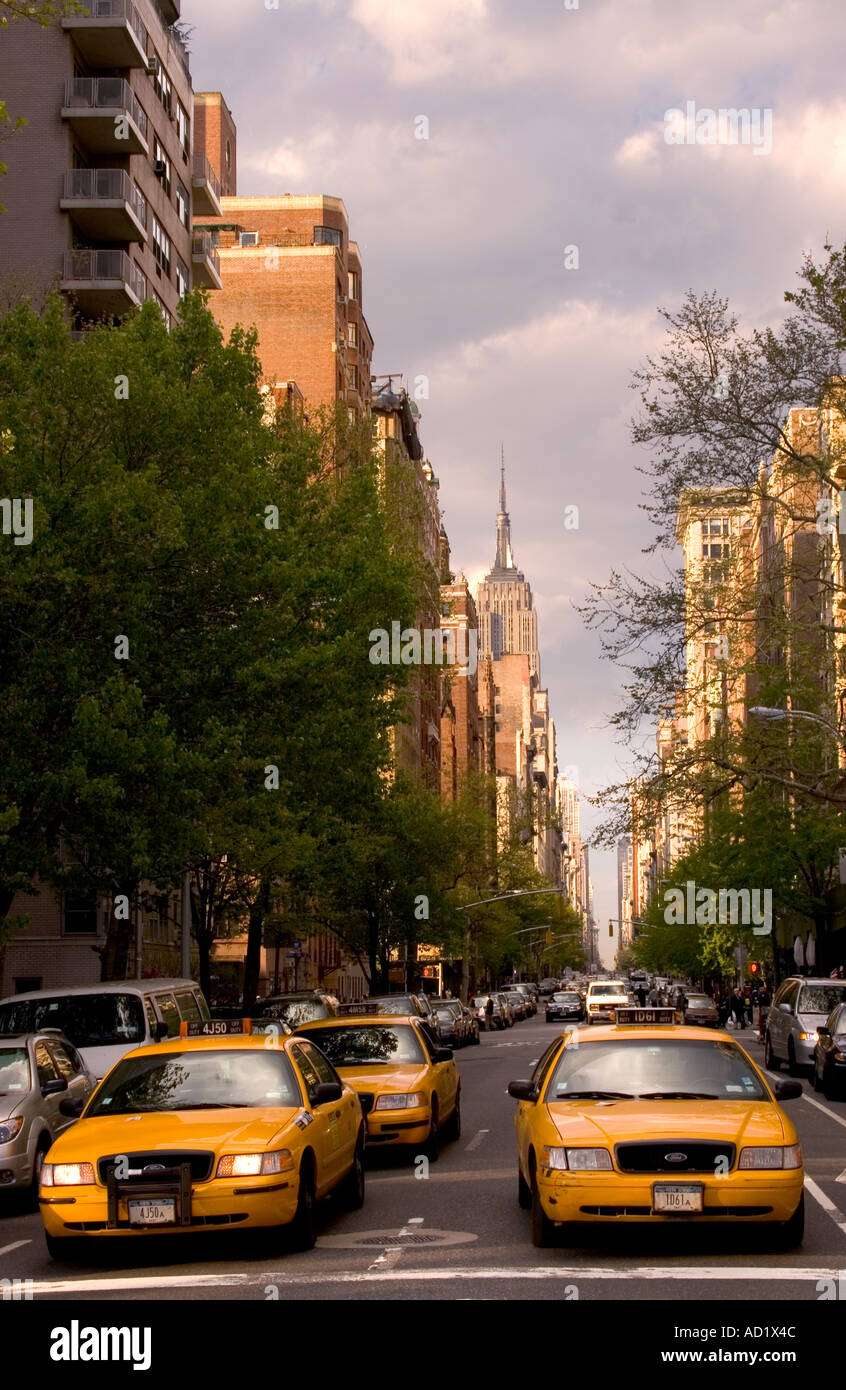Yellow cabs on 5th Avenue with the Empire State building in background viewed from Washington Square park NYC Stock Photo