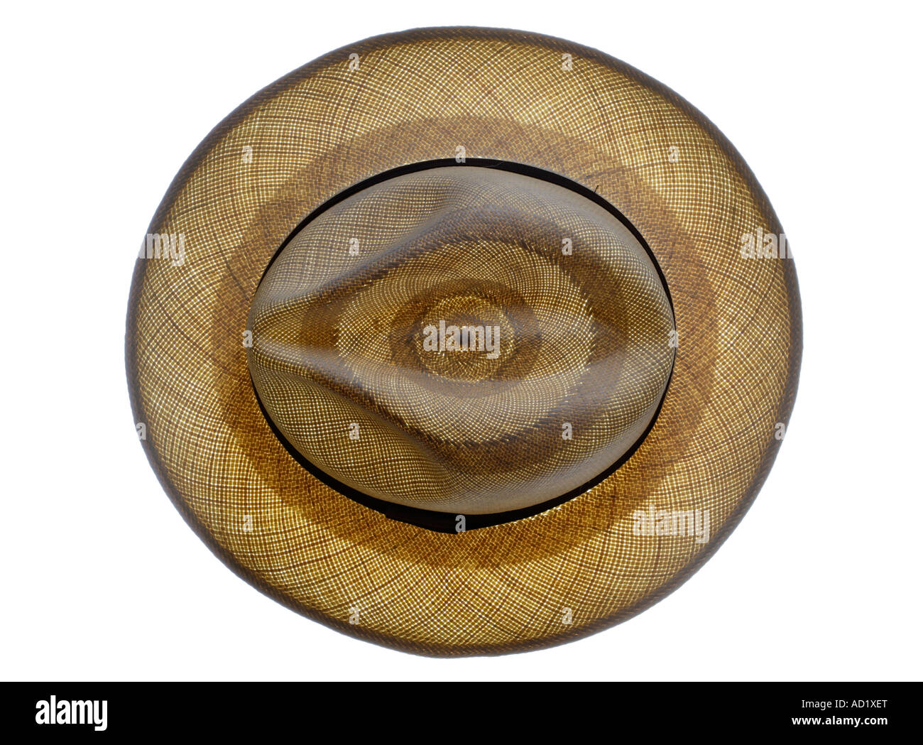 Backlit Panama hat Stock Photo