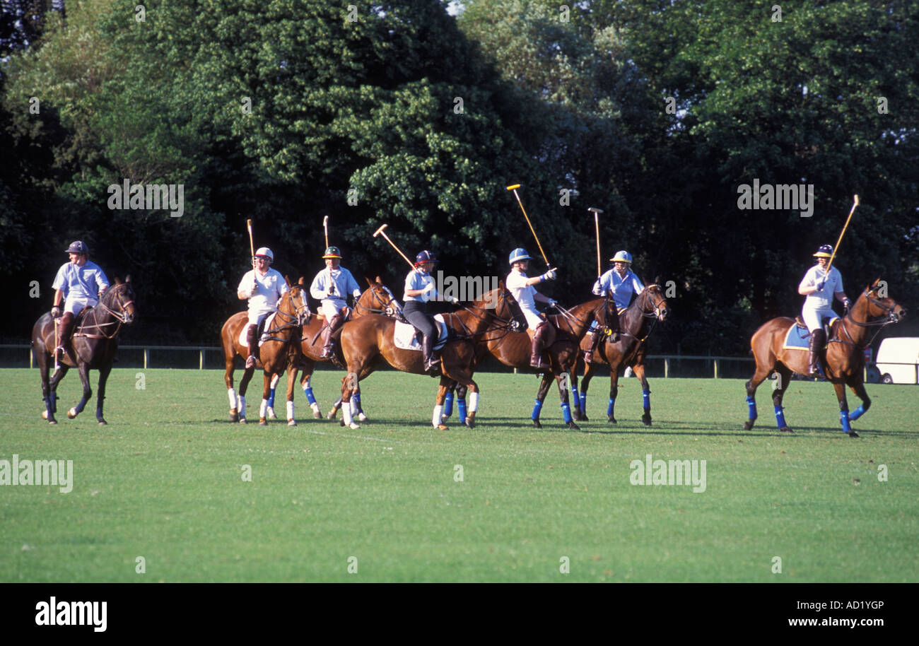 people playing polo