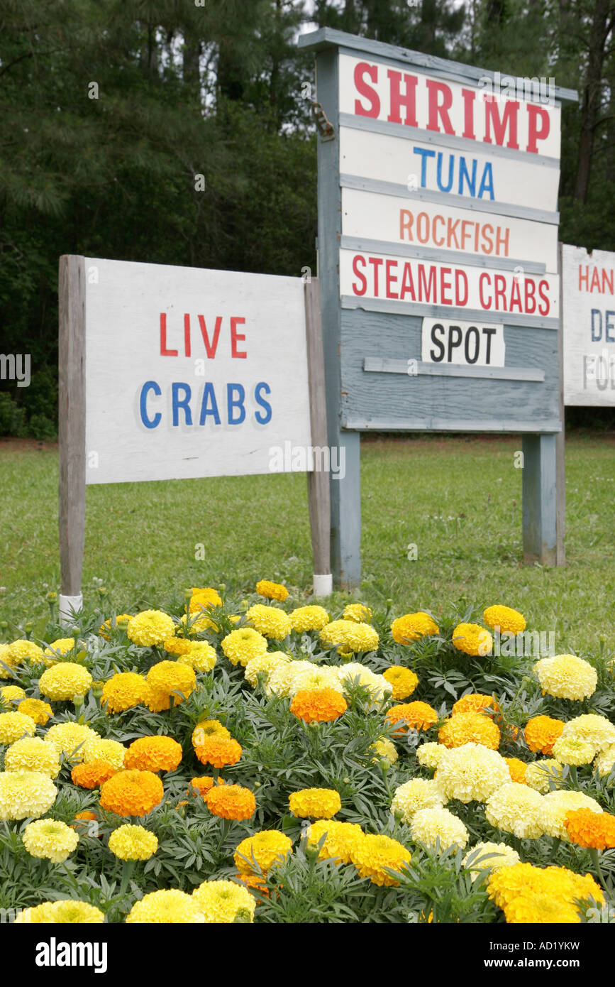Virginia Beach,Sandbridge Road,Belanga's Seafood & Produce,shrimp,prawn
