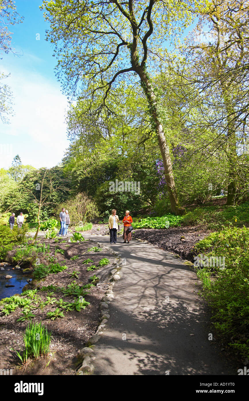 Clyne Gardens, in the City of Swansea, Wales, UK Stock Photo Alamy