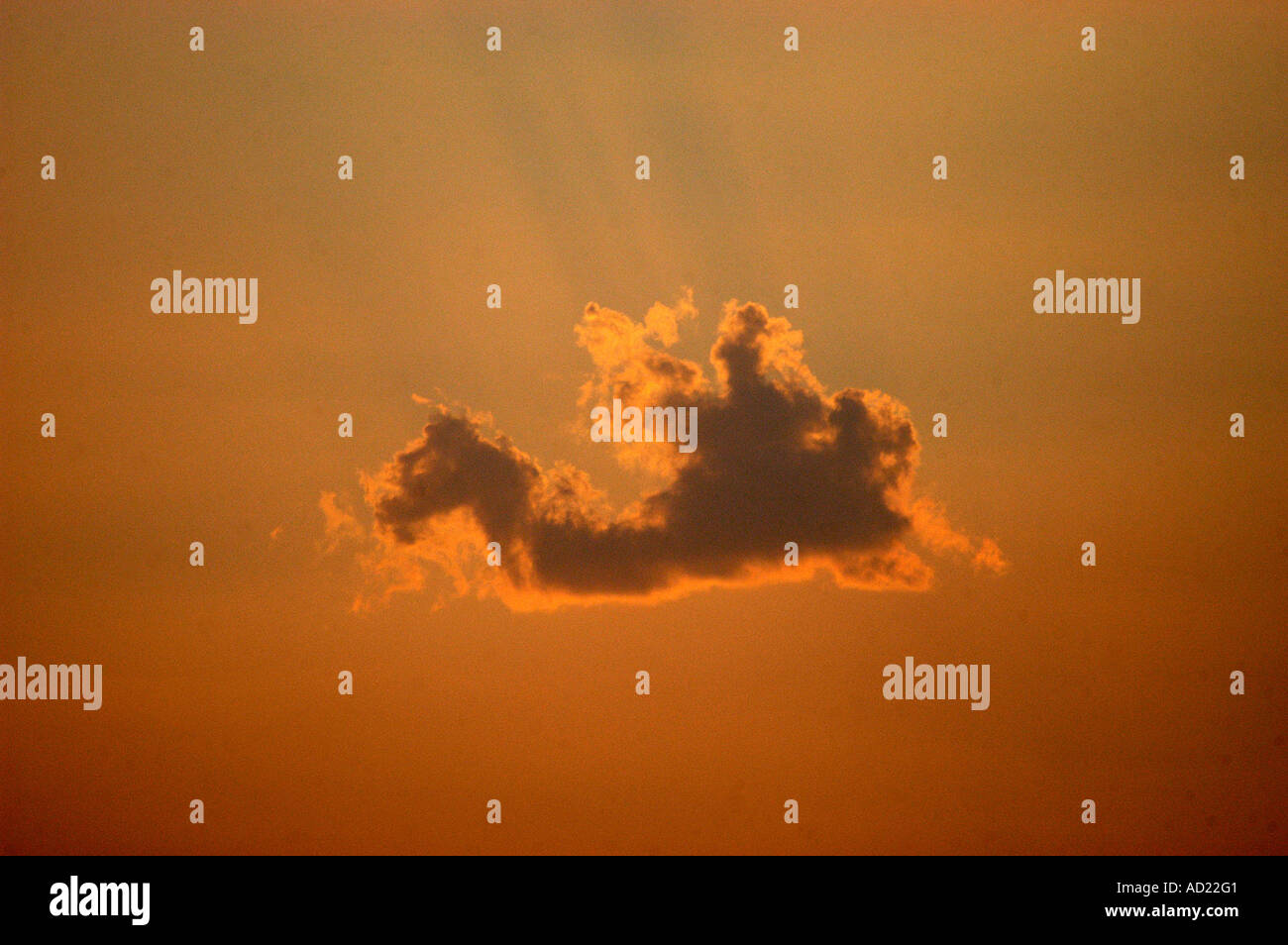 ASB73148 A graphical formation like animal horse of a cloud during sunset at Nagpur Maharashtra India Stock Photo