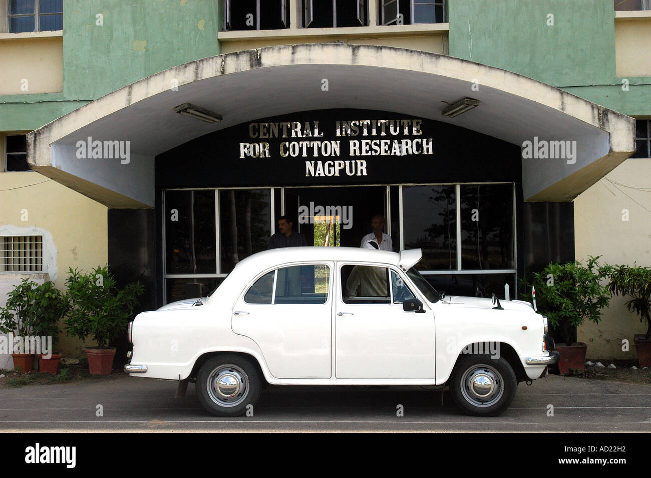 ASB73162 A white Ambassador car parked at Central Institute for cotton Research building at Nagpur Maharashtra India Stock Photo