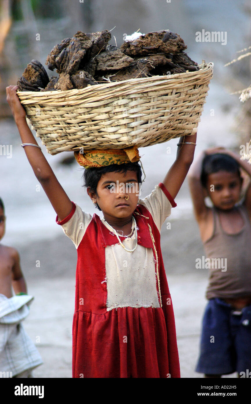 Girl with cow dung hi-res stock photography and images - Alamy