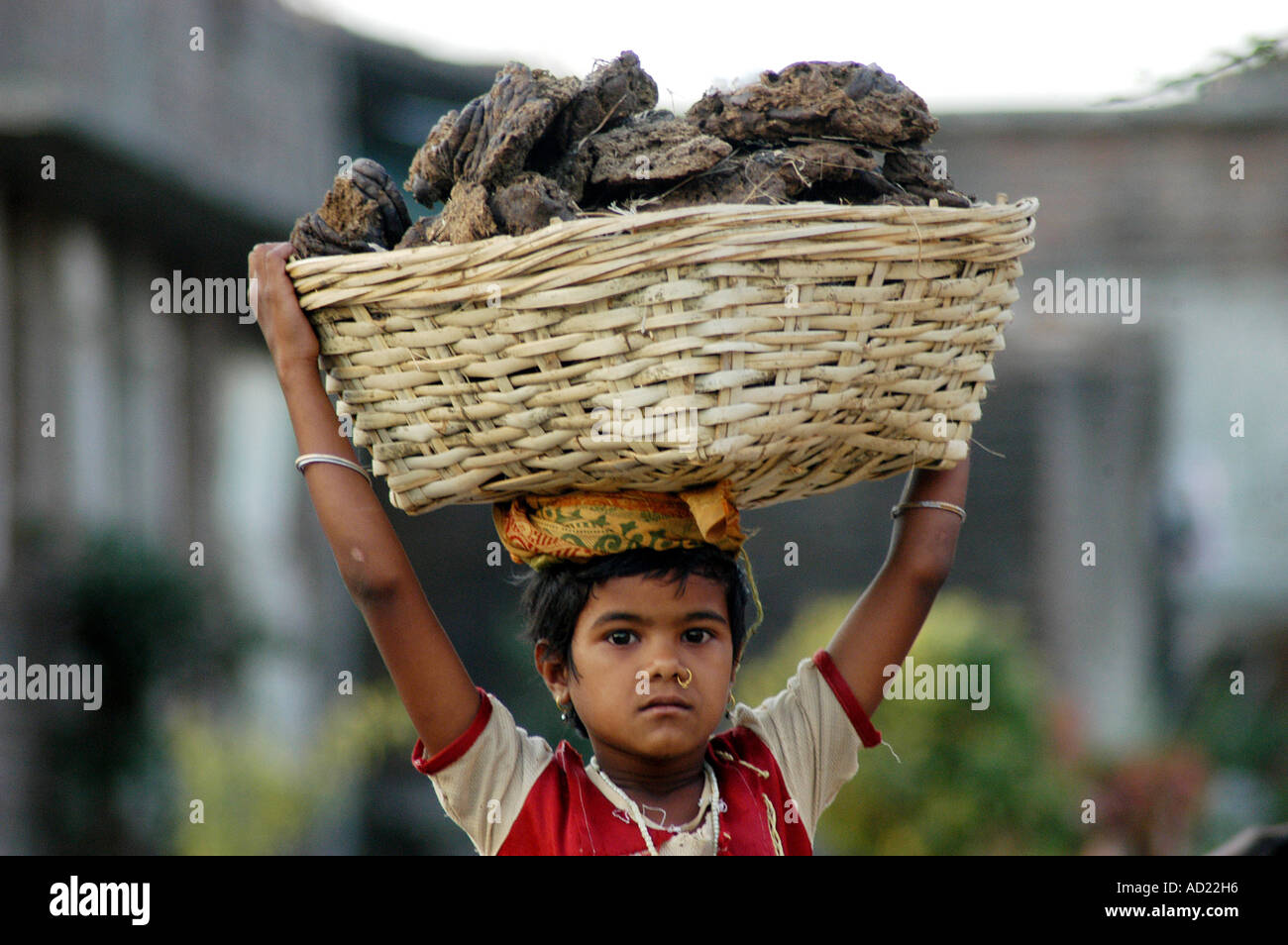 Girl with cow dung hi-res stock photography and images - Alamy