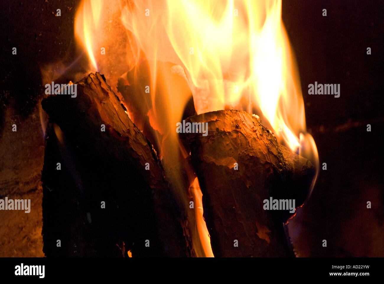 Fire, wood burning Stock Photo Alamy