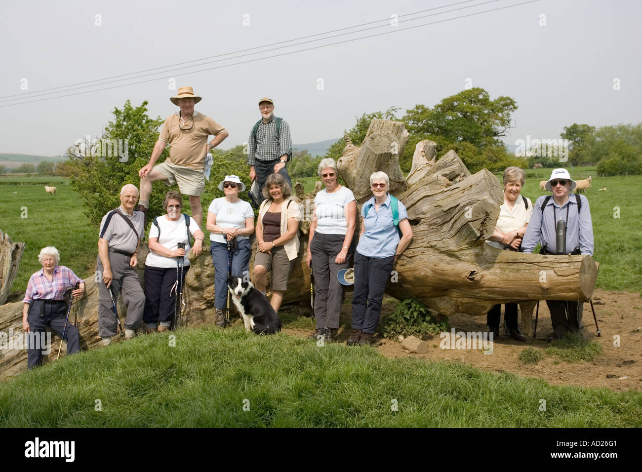 Group of senior citizens pause for photo on country walk Cotswolds UK Stock Photo