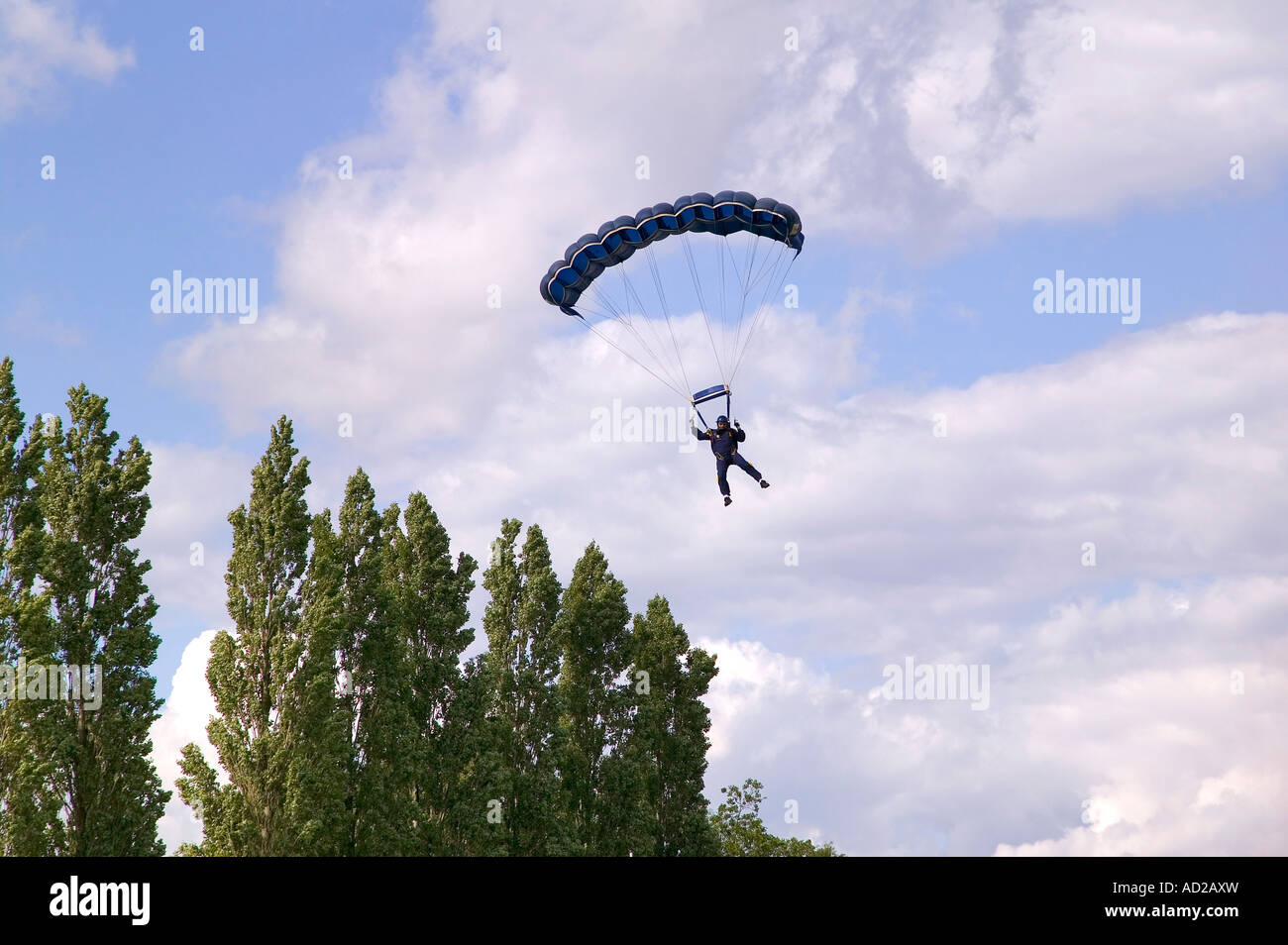 Parachutist narrowly missing some tree s as he comes in to land Stock Photo