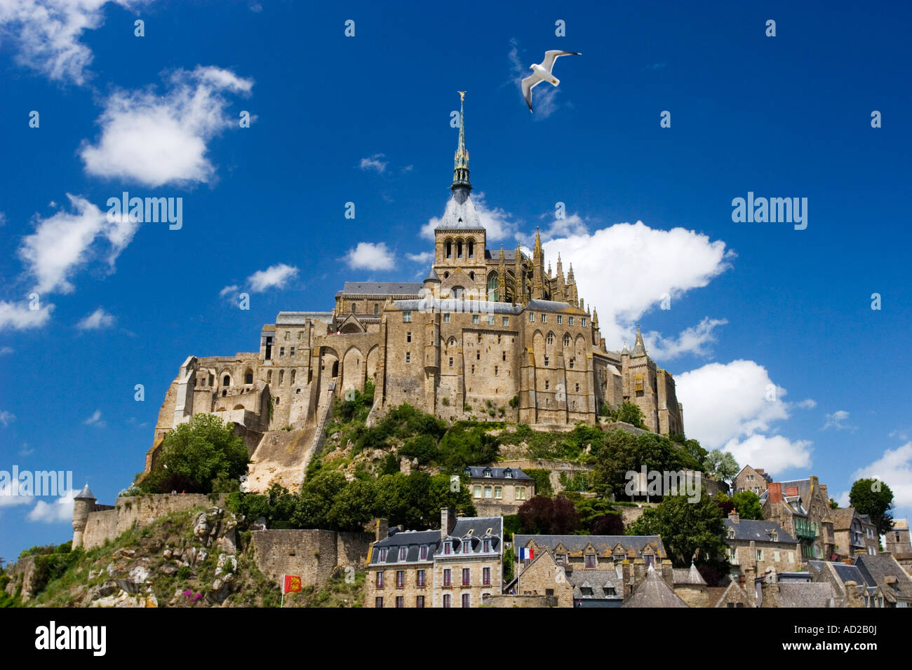 Mont Saint Michel on a bright sunny day showing sea gull circling