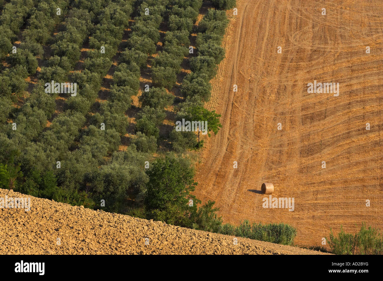 Farmland in Abruzzo, Italy Stock Photo Alamy