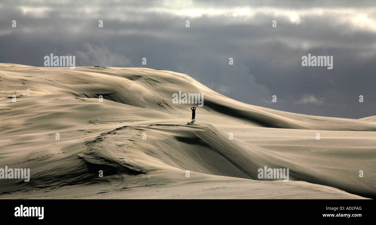 Alone in the sand-hills at Potou at the northern entrance to the Kaipara harbour on the west coast of New Zealand Stock Photo