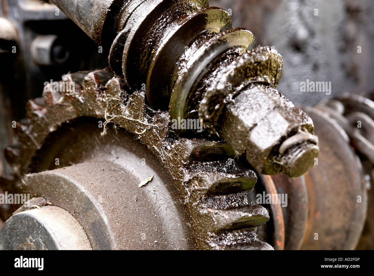 Close-up of cog and pinion of the steering gear of a steam traction engine. Stock Photo