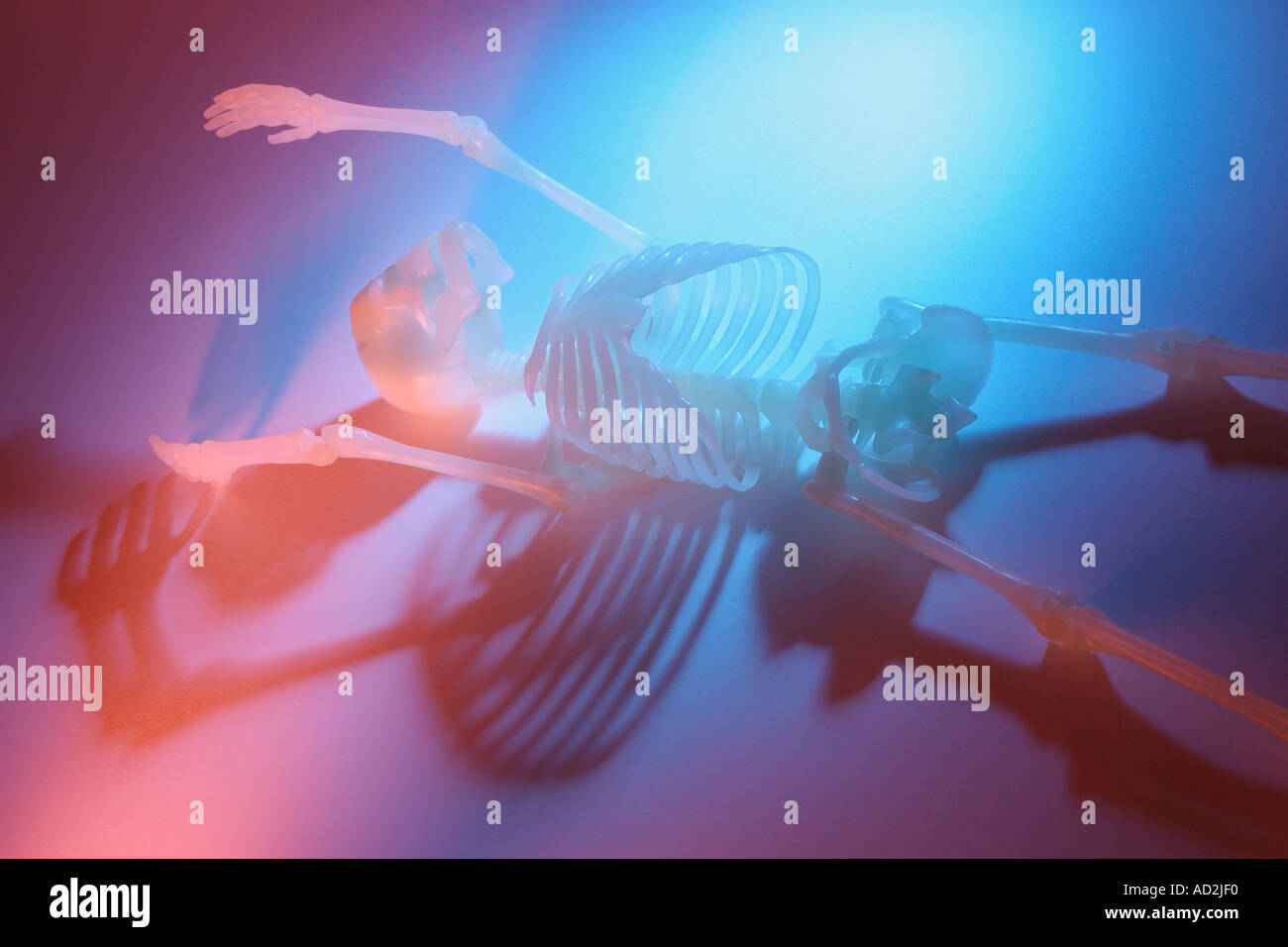 Forensic anthropology skeleton hires stock photography and images Alamy