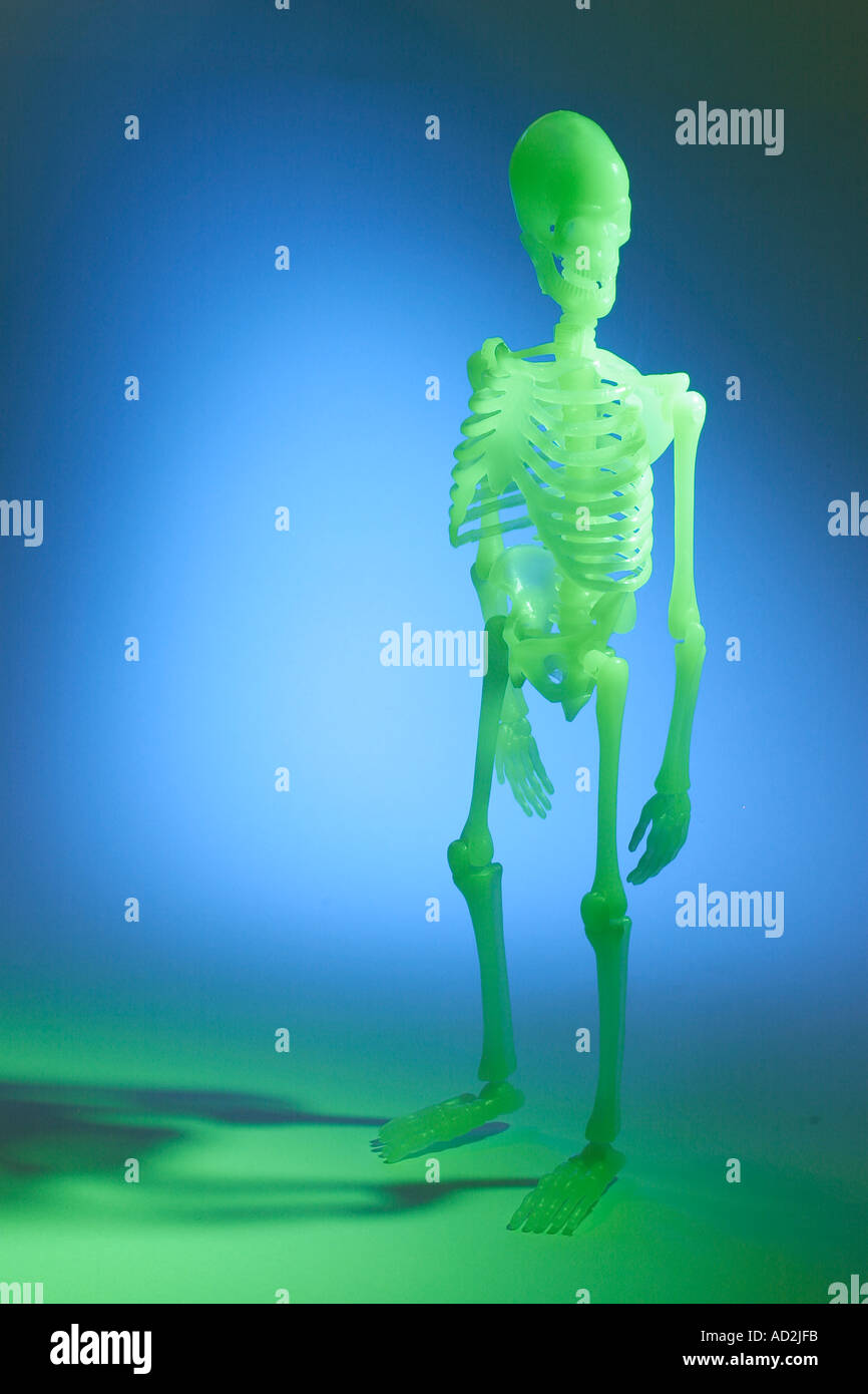 Forensic anthropology skeleton hires stock photography and images Alamy