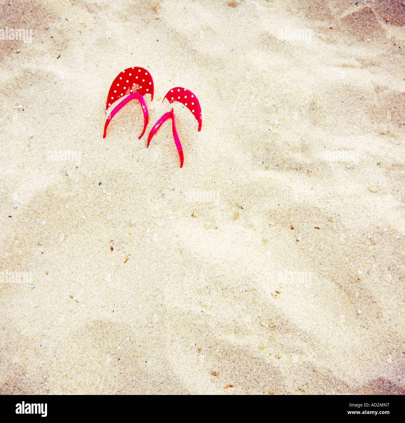 Sandals on the Beach Stock Photo - Alamy