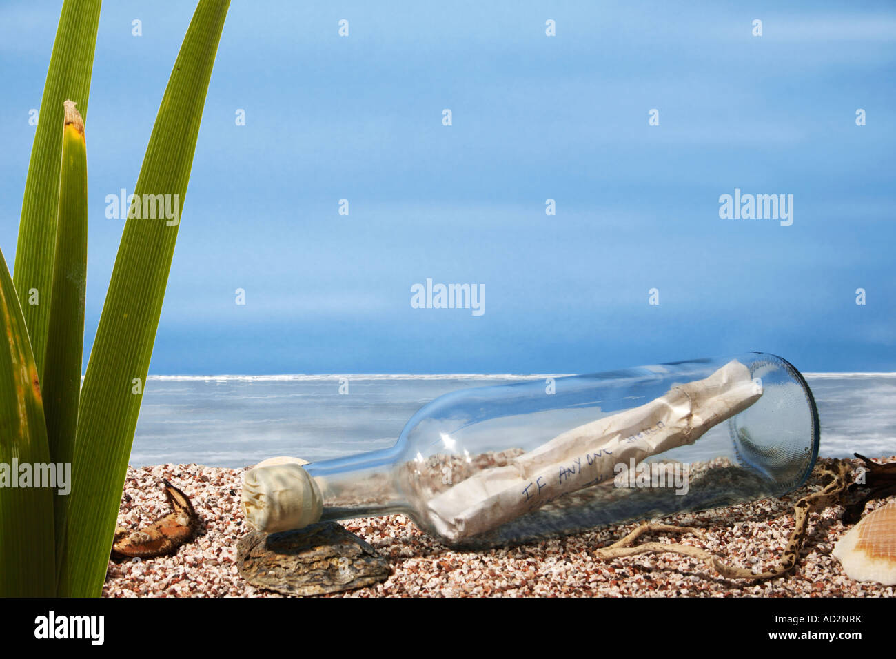 Message in a bottle. Stock Photo