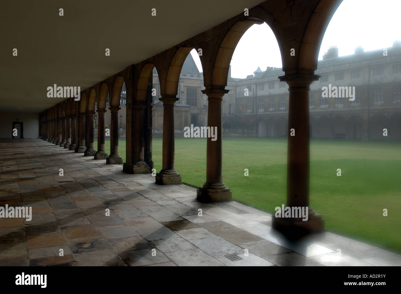 Trinity College Cambridge Cloisters Stock Photo