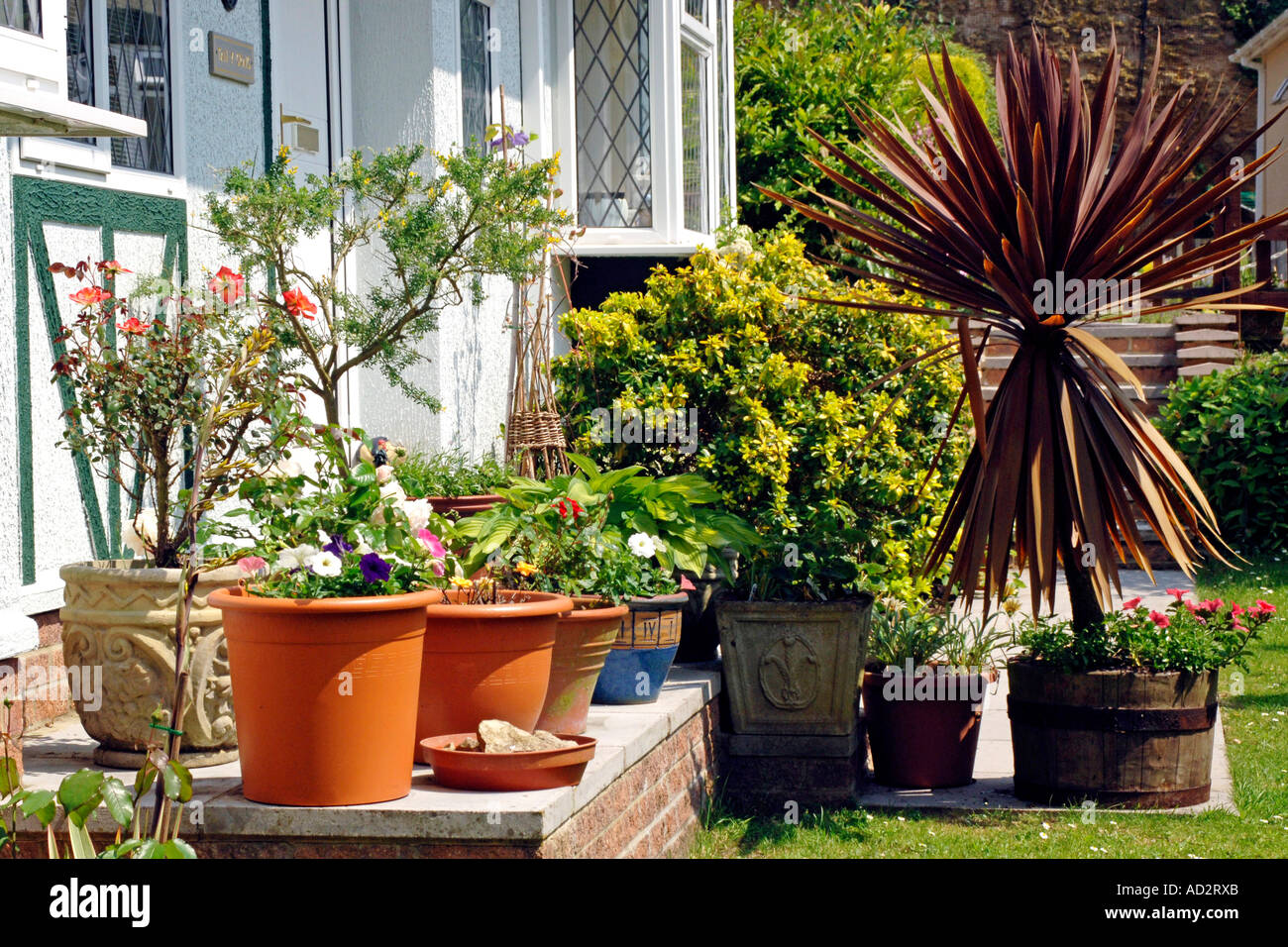 Plants in Pots around the front door of a house including a spikey palm tree Stock Photo