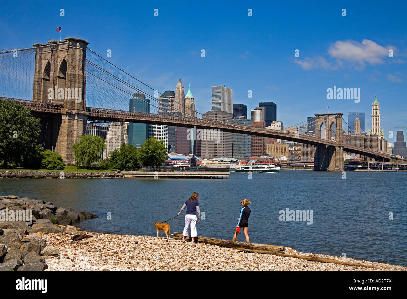 Brooklyn Bridge Park Dumbo District Brooklyn New York City New York USA ...
