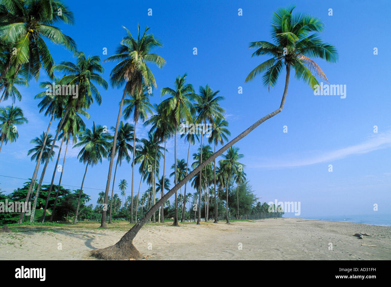 Malaysia Kelantan Kota  Bharu  Pantai Irama beach  Stock 