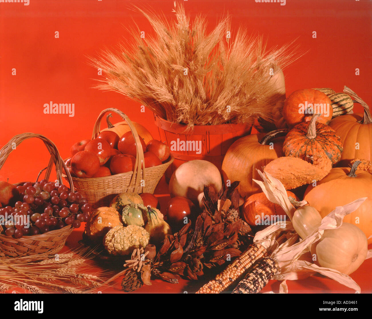 Harvest still life with bounty of autumn fruits and vegetables on red ...